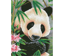 Panda Prince - 30 x 40cm
