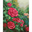 A Perfect Red Rose - 52 x 42cm 