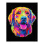 Neon Golden Retriever - 35.5 x 45.7cm