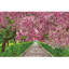 Simply Dotz  Springtime Meander - 47 x 72cm