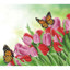 Simply Dotz  Spring is in the Air - 37 x 42cm