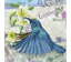 Hummingbird Travels - 30.5 x 30.5cm (12 x 12in)