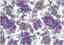 Cotton Sheeting Printed - Duck Purple