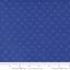 Moda - Rainbow Spice - Tanzanite