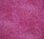 TRIPLE S - Vine Backing 108 Inches Wide - 102 dark pink