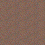 CONFETTI-FRECKLE