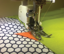 Janome Accessories - Walking / Even Feed Foot (941 610 000)