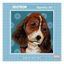 Tapestry Kit 15 x 15cm - Beagle