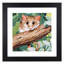Natalie Jane Parker Counted Cross Stitch Kit 34 x 34cm - Pygmy Possum