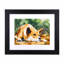 Natalie Jane Parker Counted Cross Stitch Kit 33 x 24cm - Dingo 