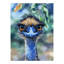 Natalie Jane Parker Counted Cross Stitch Kit 30 x 40cm - Bird's Eye View Emu