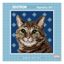 Tapestry Kit 15 x 15cm - Tubby
