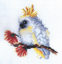 Australian Cross Stitch Kit 15 x 15cm - Baby Cockatoo