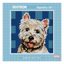 Tapestry Kit 15 x 15cm - Terrier