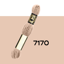 DMC Tapestry Wool 8m - 7170