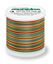 Rayon 40 200M Multi-Color - 2147