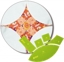 Matilda's Own Template - Curved 9-Patch Set of 6 - 12in
