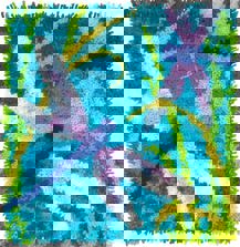 Dragonflies Latch Hook