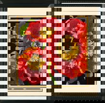 Dimensions Needlecraft - RED POPPY TRIO                