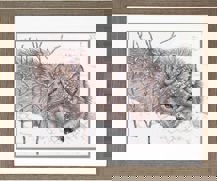 Dimensions Needlecraft -  Snow Daze