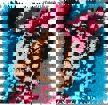 Dimensions Needlecraft - Latch Hook Kit Minnie