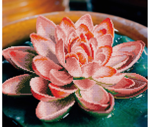 Diamond Art - Lotus - 37x 42cm