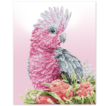 DIAMOND DOTZ - Pink Galah And Banksia - 51 x 41cm