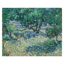 Olive Orchard (Apres Van Gough) - 42 x 52cm