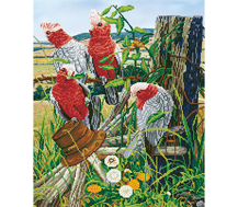 DIAMOND DOTZ - Galah Quartet - 47 x 57cm (18.50 x 22.44in))