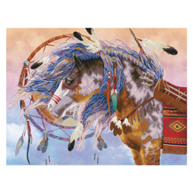 Dream Weaver - 57 x 75cm