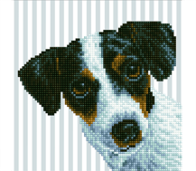 Me?? - 24 x 23cm (8x 9in)