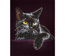 DIAMOND DOTZ - Midnight Cat - 27.9 x 35.5cm (11 x 14in)
