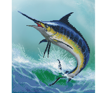 Monarch Of The Sea - 42x 47cm