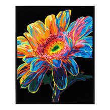 Neon Gerbera - 35.5 x 45.7cm