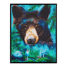 DIAMOND DOTZ - Moonlight Magic Black Bear - 45 x 35cm