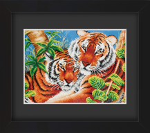 Frame with Framing Mat Board DDF11.515X370