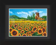 Frame with Framing Mat Board DDF16.765X550