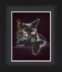 Frame with Framing Mat Board DDF14.270X350