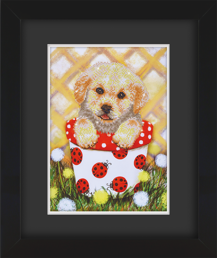 Frame with Framing Mat Board DDF21.295X415