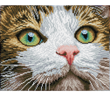 Green Eyed Beauty - 35.7 x 27.7cm  (14 x 10.9 in)