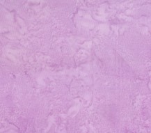 Batik - Tonal Blend - Blossom