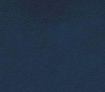 Minky - Fleece - Navy