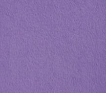 Minky - Fleece - Purple