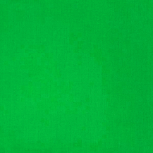 MILKY WAY - POPLIN FABRIC - BRIGHT GREEN