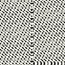 Polked Again - Cream & Black