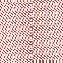 Polked Again - Jam & Cream