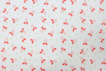 Riley Blake Printed Cotton - Pretty Potplants Aqua 112cm