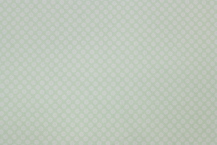 Riley Blake Printed Cotton - Mini Daisies Green 112cm