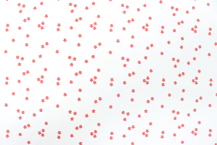 Riley Blake Printed Cotton - Mini Flowers White 112cm