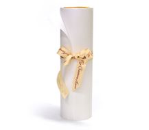 Interfacing - Vliesofix 30cm